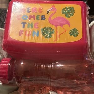 Colorful Lunch Box and Bottle Set